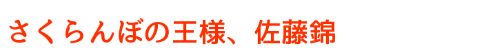 さくらんぼの王様、佐藤錦
