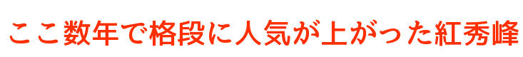 ここ数年で格段に人気が高くなった紅秀峰