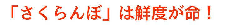 さくらんぼの美味しい食べ方